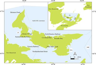 Comparing the Effectiveness of Traditional and Alternative Baits in Prince Edward Island, Canada Lobster Fishery